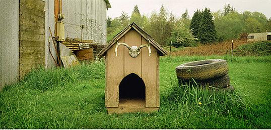 《死亡搁浅导剪版》变原版 Epic回应：临时工的错